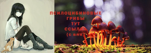 винт Арсеньев