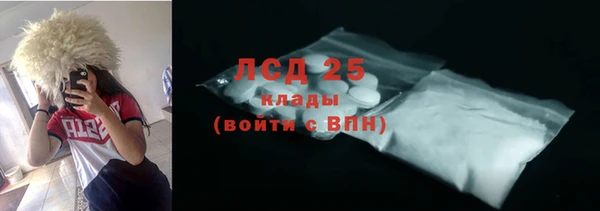 мяу мяу мука Аркадак