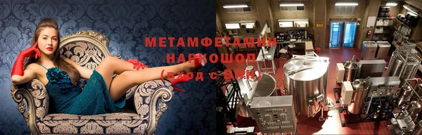 мяу мяу мука Аркадак