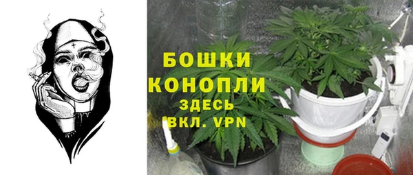 винт Арсеньев