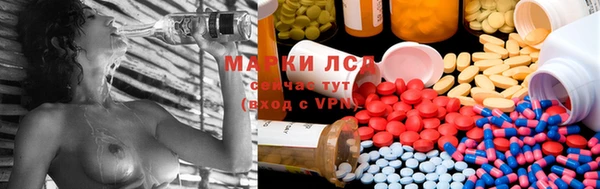 мяу мяу мука Аркадак