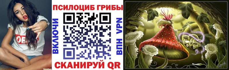 Галлюциногенные грибы мицелий  блэк спрут вход  Рыбное 